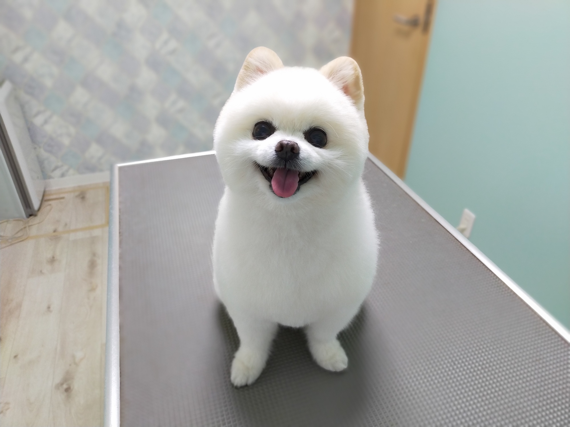 トリミングサロン onecutの外観